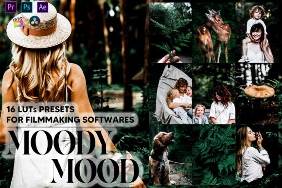 Download 16 Moody Mood Video LUTs Presets - Premium Resources